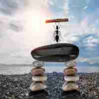 稳‍定‍的‌api接‌口​